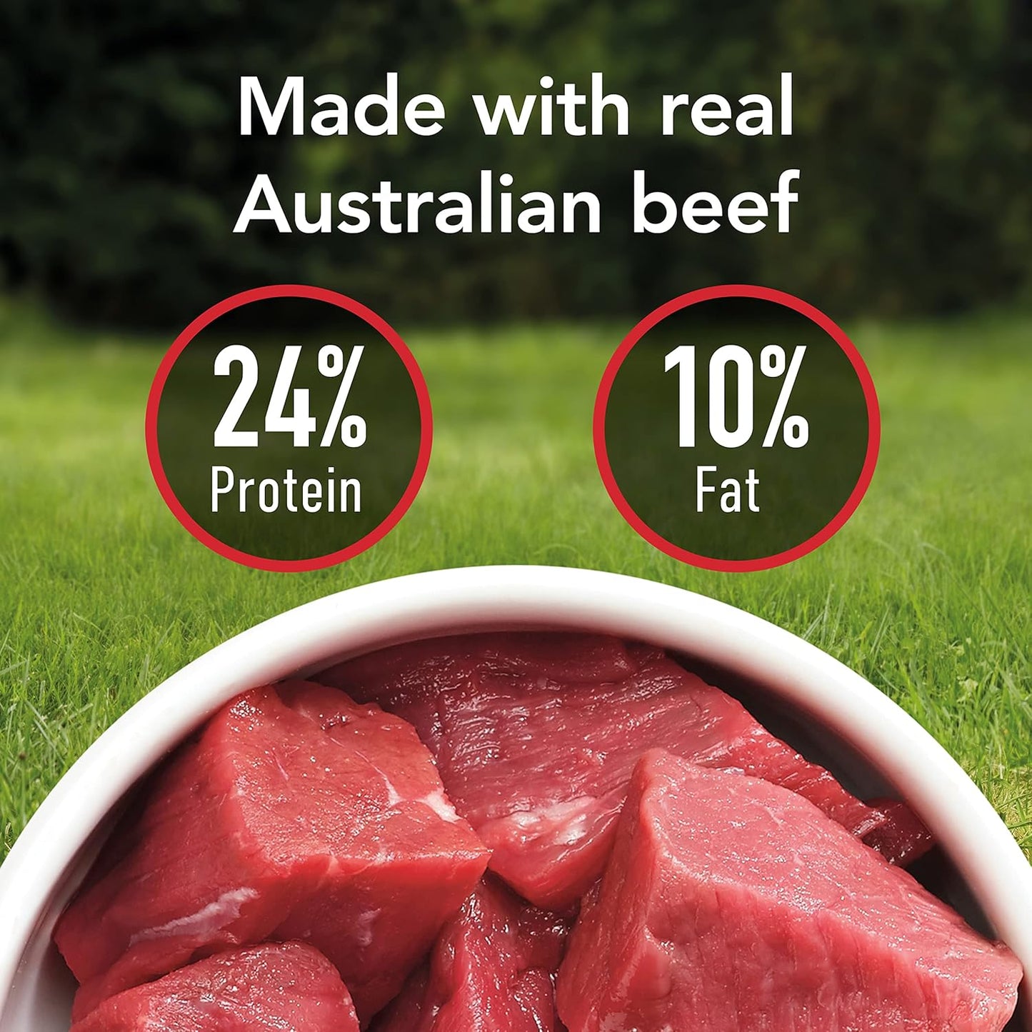 Adult Beef Dry Dog Food 12kg
