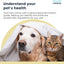 Advanced Test - at-Home Pet Test | 460 Items | Quick Results | Non-Invasive Hair Collection | Comprehensive Food, Environment, Nutrient & Mineral Analysis | All Breeds & Ages