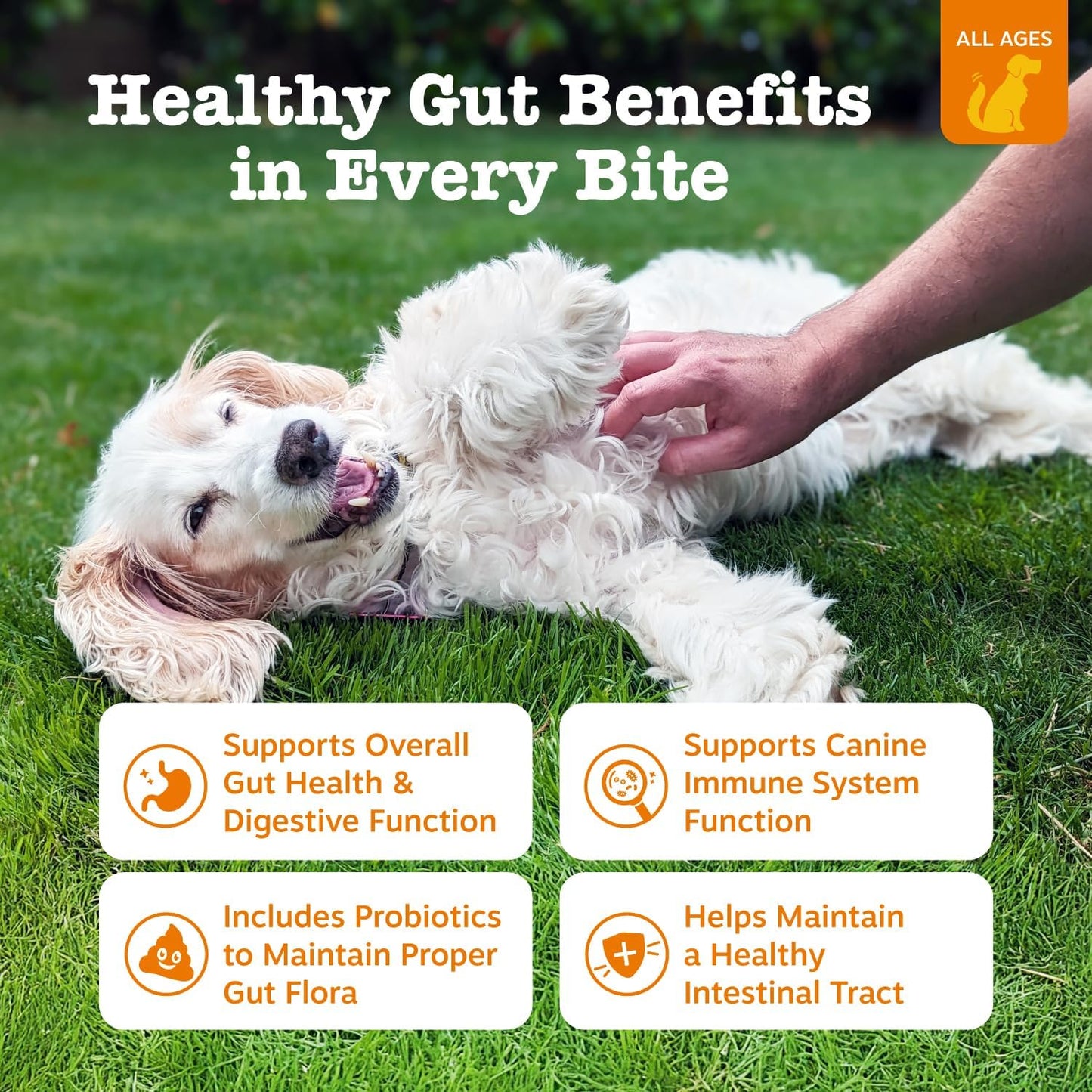 Probiotics for Dogs - Probiotics for Gut Flora, Digestive Health, Occasional Diarrhea & Bowel Support