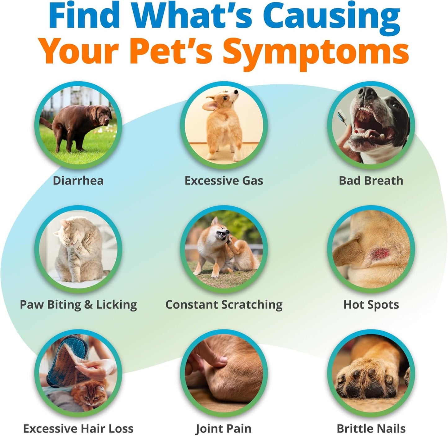 5Strands Pet Food Intolerance, Environmental & Heavy Metal Sensitivity, and Nutritional Imbalance Test, 1036 Items Tested, Cat & Dog Gut Health Test for All Breeds & Ages, Results in 4 Days