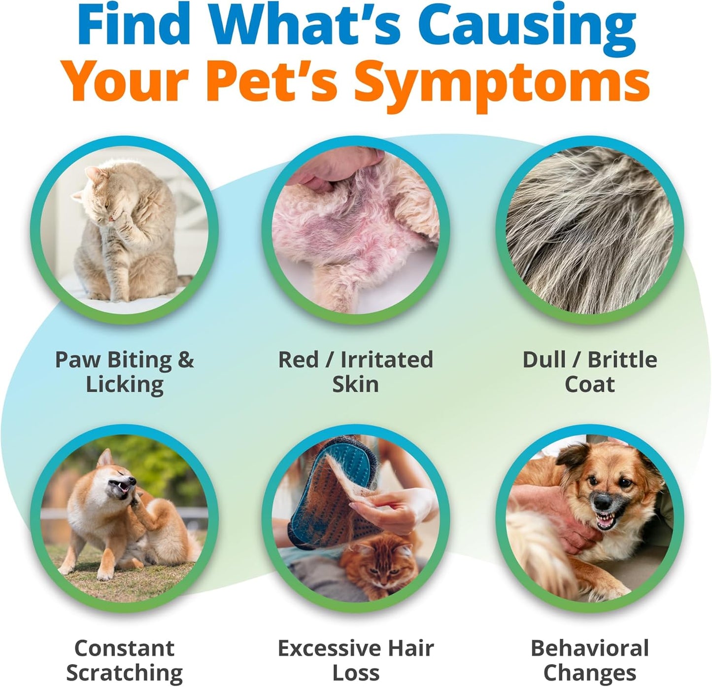 5Strands Pet Heavy Metal Sensitivity Test, at Home Hair Sample Test for Dogs and Cats, Identify Environmental Exposures, Create a Proactive Elimination Plan, Results in 4 Days