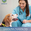 Natural Flea & Tick Repellent Collar Tag for Dogs & Cats – BioPower Pet Shield – Safe for Pets When Used as Directed – Lasts 1 Full Year - Regular Tag (1Pack)