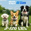 Dog Bark Collar for Large Medium Small Dogs, Smart Barking Collar, Effective No Bark Collar with Adjustable Beep Vibration Correction Modes, Automatic Anti Barking Device, IP67 Waterproof, Black