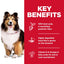 Hill's Science Diet Adult Sensitive Stomach & Skin Dry Dog Food 1.81kg