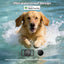 Pet Tracker,GPS Collar for Dogs (iOS Only) Smart tag,Waterproof Compatible with Apple Find My,No Monthly Fee,Advanced Tracking
