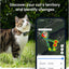 Tractive Smart Cat GPS Tracker | Real-Time Location & Wellness Monitoring for Cats 6.5 lbs+