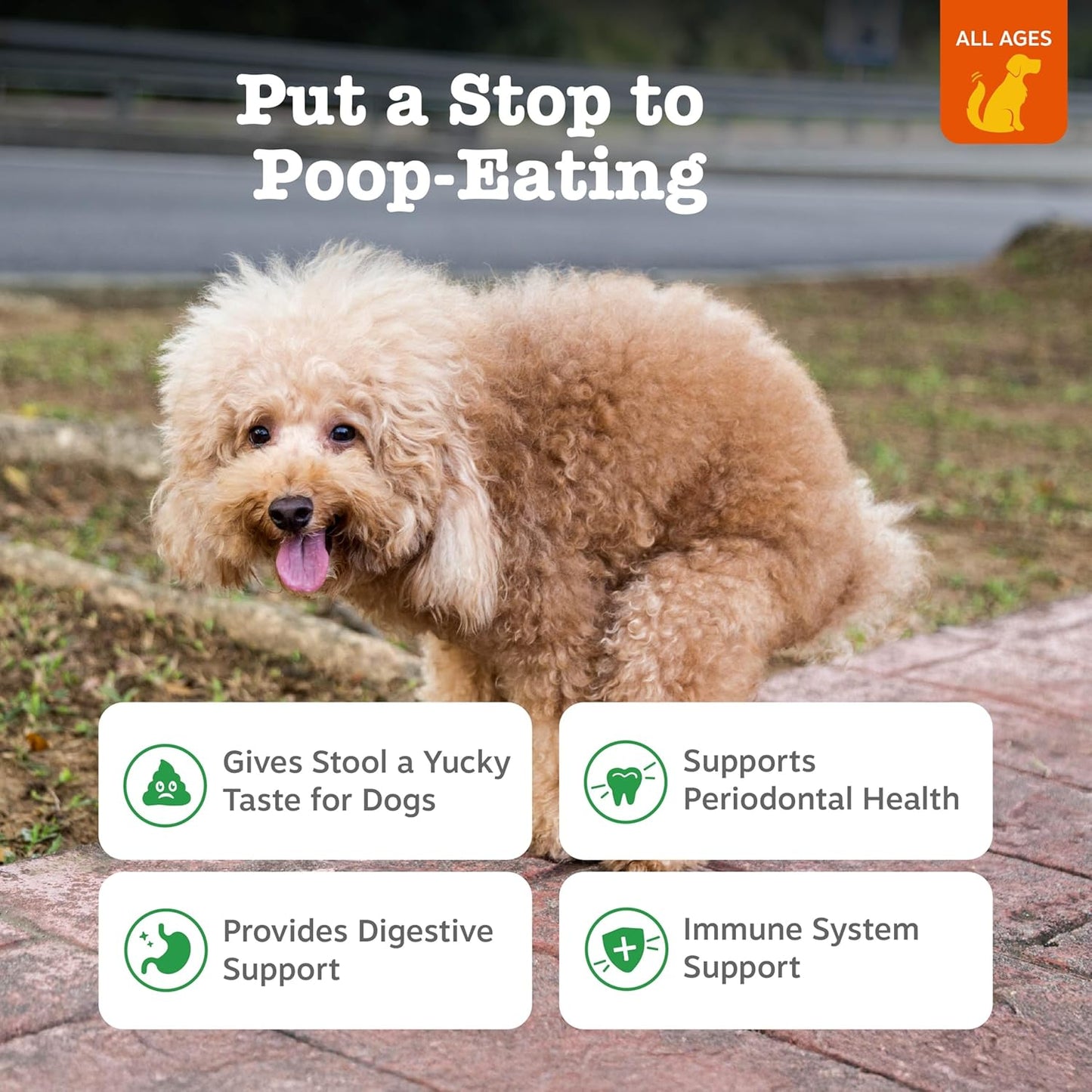 No Poo Bites for Dogs - Coprophagia Relief - Stool Eating Deterrent Soft Chews for Dogs & cats - Gut, Periodontal & Immune System Support with Probiotics,Chicken flavour,100 Chews