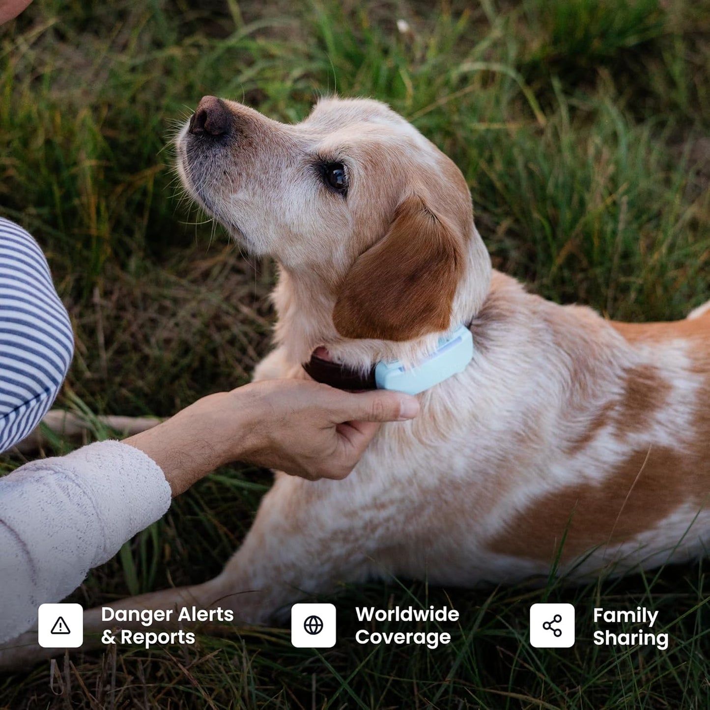 Tractive Smart Dog GPS Tracker | Live Pet Tracker with Virtual Fence