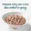 FANCY FEAST Adult Grilled Turkey in Gravy Wet Cat Food 24x85g