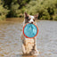 ChuckIt! Paraflight Flyer Dog Toy, Large (Orange/Blue)