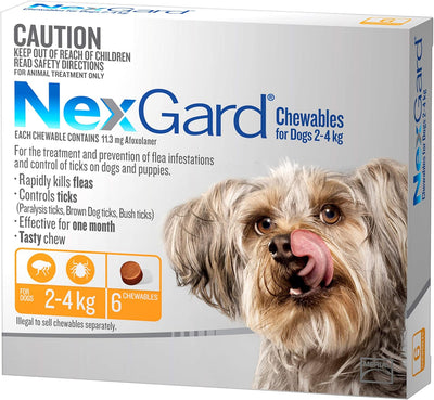 Nexgard Flea and Tick Treatment Chewables for Dogs Small 2.0 - 4 kg, Yellow (Pack of 6)