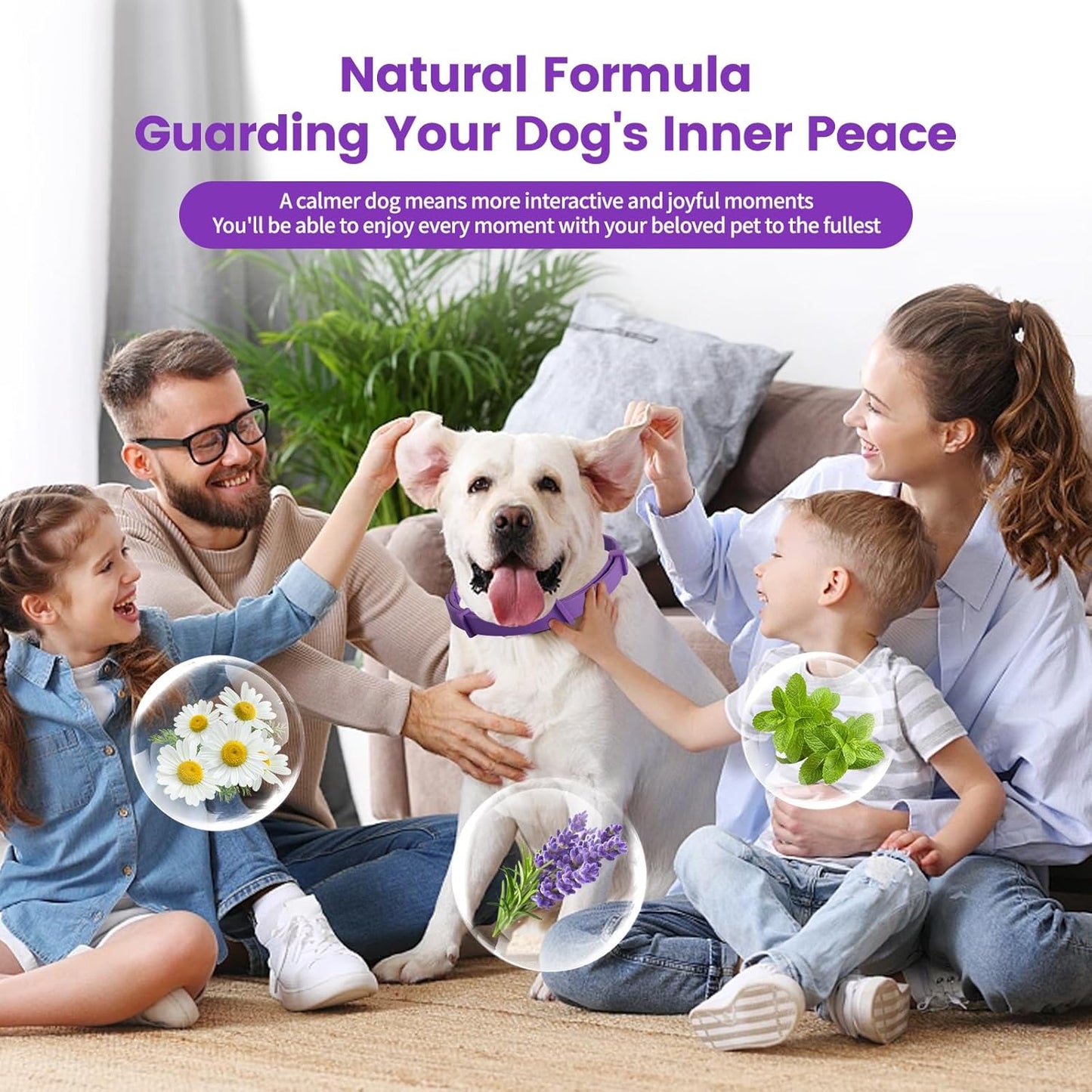 Calming Collar for Dogs – Fast-Acting, Lasts 60 Days, Choke-Free Design,for all sizes