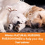 ThunderEase Dog Calming Pheromone Diffuser Refill | Powered by ADAPTIL (60 Day)