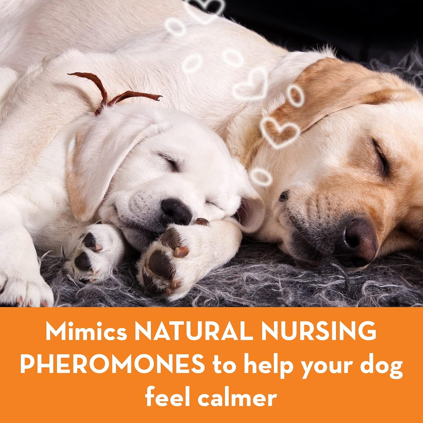 ThunderEase Dog Calming Pheromone Diffuser Refill | Powered by ADAPTIL (60 Day)