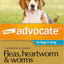 Advocate Flea, Heartworm and Worm Control for Medium Dogs, Aqua, 3 Pack