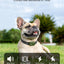 Jugbow Dog Shock Collar - 4200FT Dog Training Collar with Remote Innovative IPX7 Waterproof with 4 Training Modes, Rechargeable E-Collar for All Breeds