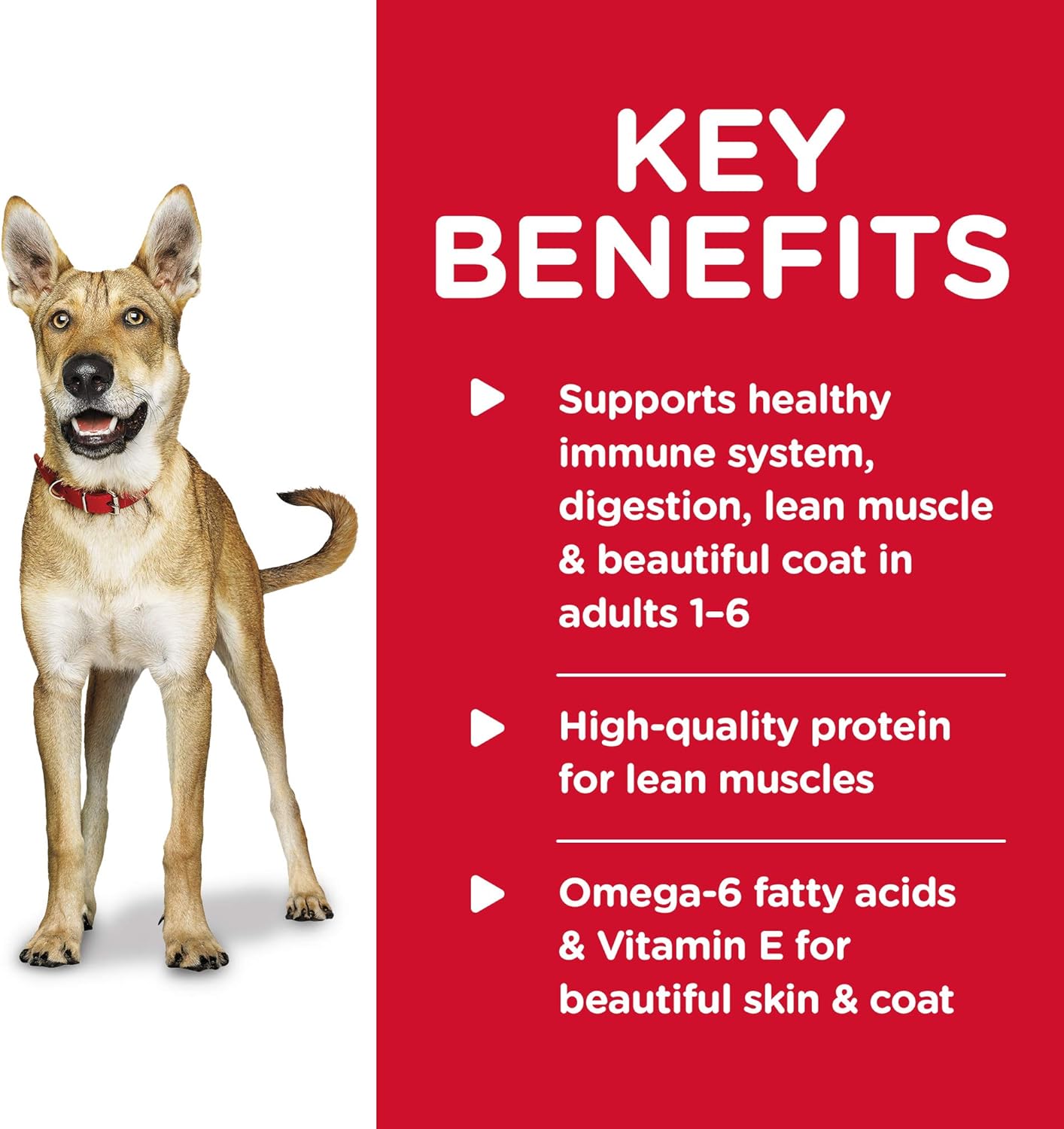 Hill's Science Diet Adult Wet Dog Food, Beef and Barley Entrée, 370g, 12 Pack, Canned Dog Food