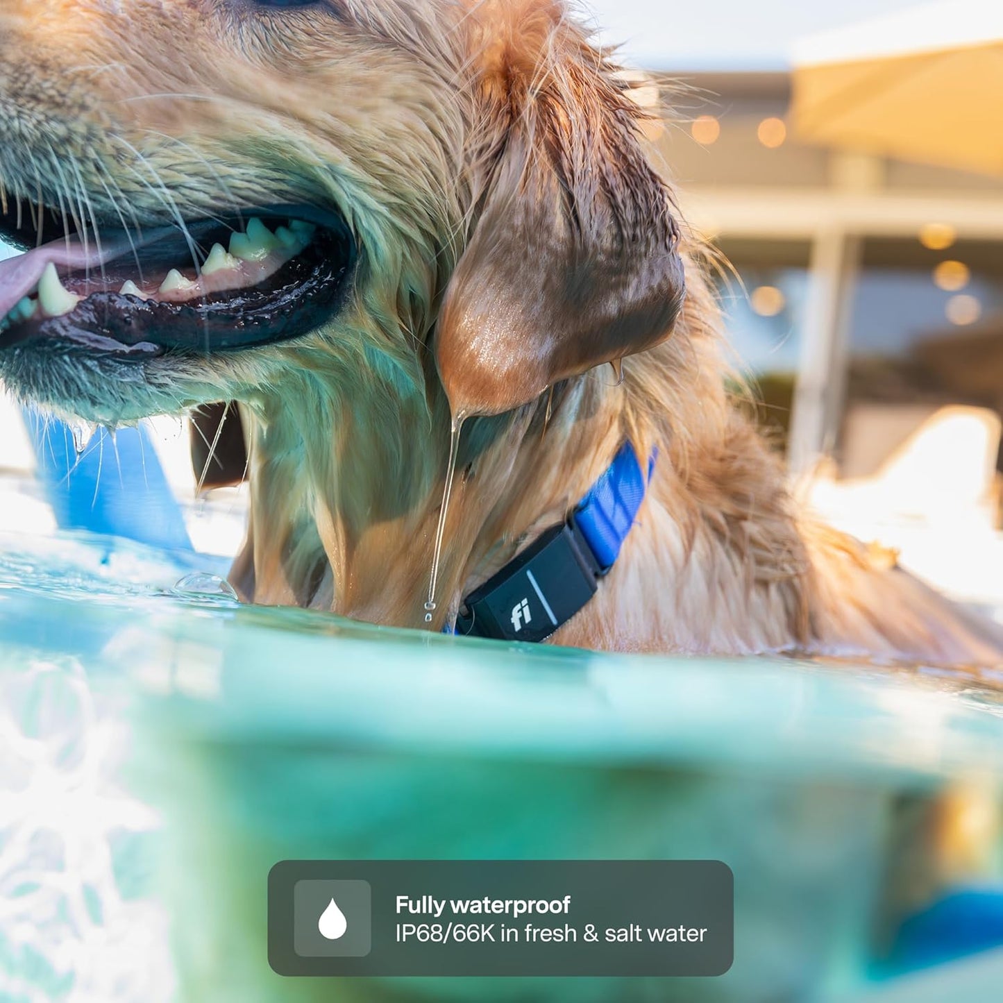 Fi New Series 3+ Smart Dog Tracker Collar [12 Month Membership Included]-Medium