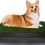 PETMAKER Artificial Grass Bathroom Mat for Puppies and Small Pets- Portable Potty Trainer for Indoor and Outdoor Use by - Puppy Essentials, 20" x 25\