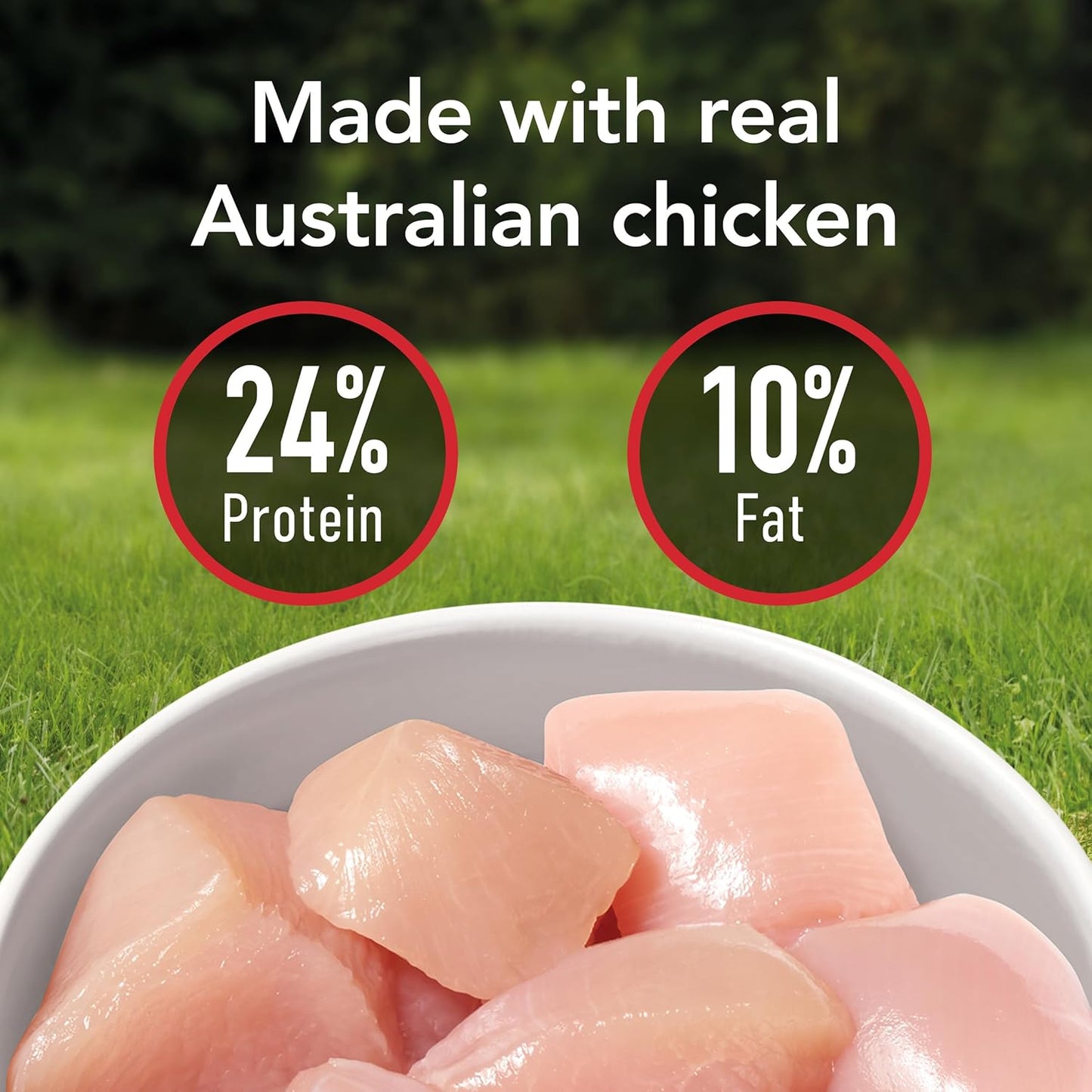 Adult Chicken Dry Dog Food 12kg