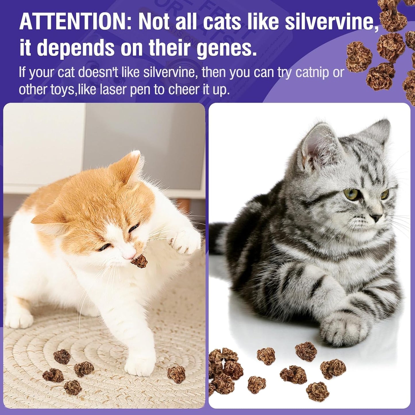 HavenJanny 20pcs Dried Silvervine Gall Fruit, Natural Silver Vine Cat Chew Toy