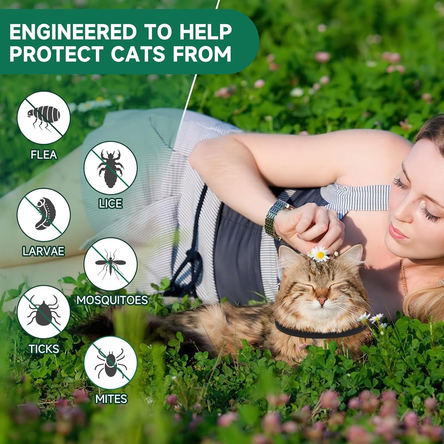 4 Pack Flea Collar for Cats, Cat Flea and Tick Treatment, 8 Months Protection