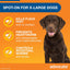 Advocate Dog, Monthly Spot-On Protection from Fleas, Heartworm and Worms, Three Pack Flea Treatment for XL Dogs Over 25 kg, 3 Pack