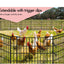 Beastie 30" Foldable Pet Dog Metal Playpen