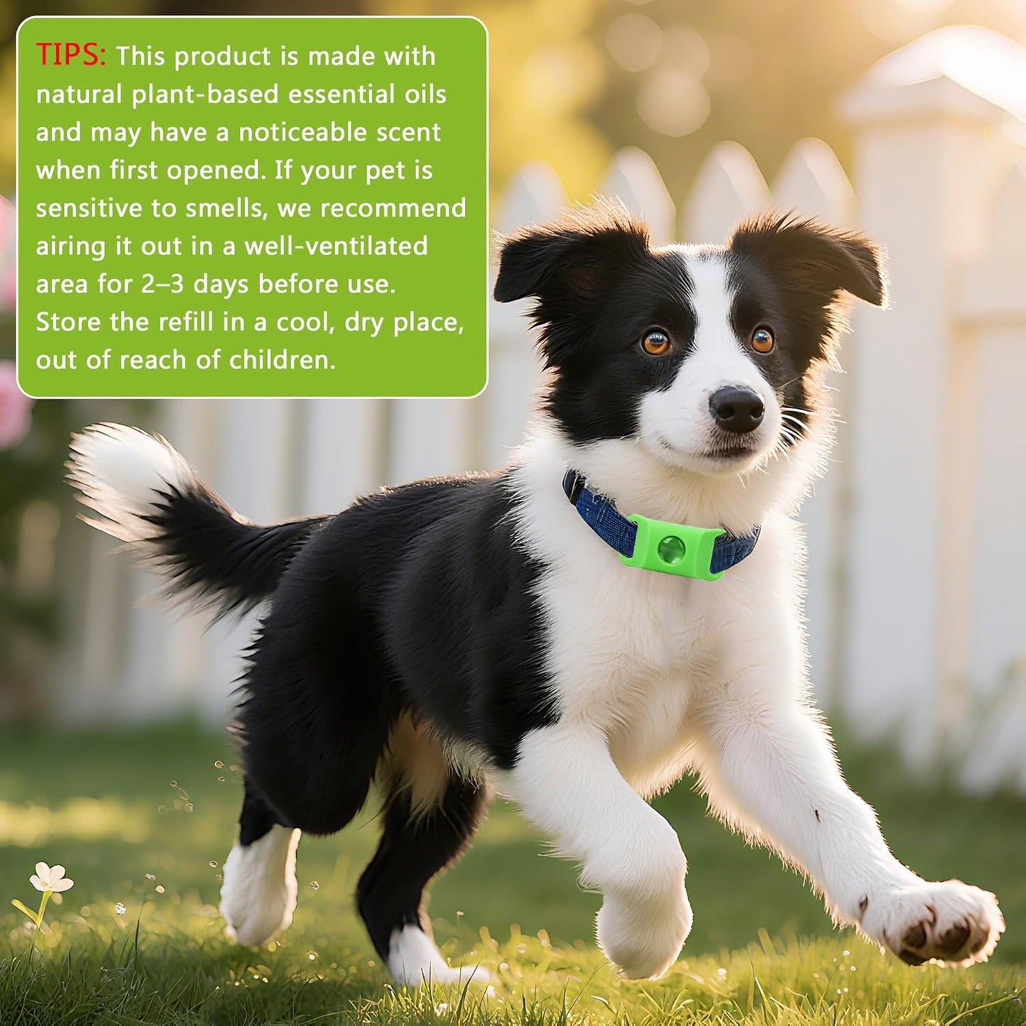 Natural Flea and Tick Prevention Dog Tag – Waterproof Collar Pendant with 3 Extra Refills, Green, Safe for All Breeds