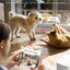 Automatic Cat Feeder with Camera, 7L Timed Dog Feeders, Adjustable Camera, 1080P HD Night Vision, Automatic Dog Feeder, 5G WiFi Cat Food Dispenser with 2-Way Audio, Low Food & Motion Alerts