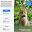 Tractive Smart Cat GPS Tracker | Real-Time Location & Wellness Monitoring for Cats 6.5 lbs+
