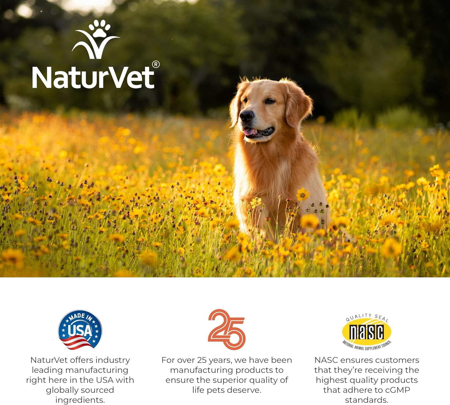 NaturVet Dog Allergy Relief Supplement - Soothes Itchy Paws, Eyes, Ears, Skin - Stops Itching, Licking, Scratching - Supports Seasonal Itching