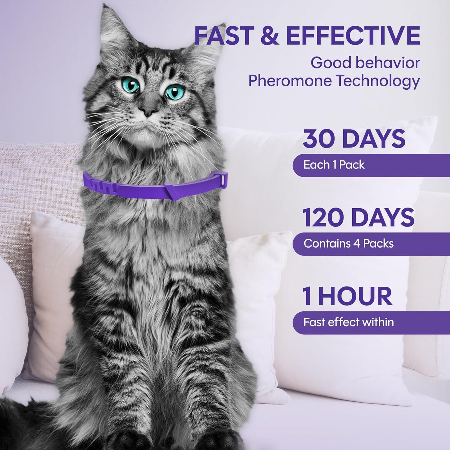4 Pack Calming Collar for Cats: Anti Anxiety - cat Stress and Anxiety Relief