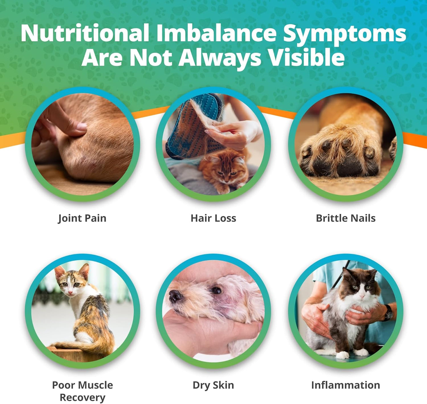 5Strands | Household Pet Nutritional Deficiency Test Kit | Hair Analysis