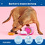 Barkbox Barker’s Dozen Donuts Plush 4-in-1 Dog Toy – Squeaky, Crinkly Donut Box & Plush Donuts for Medium & Large Dogs