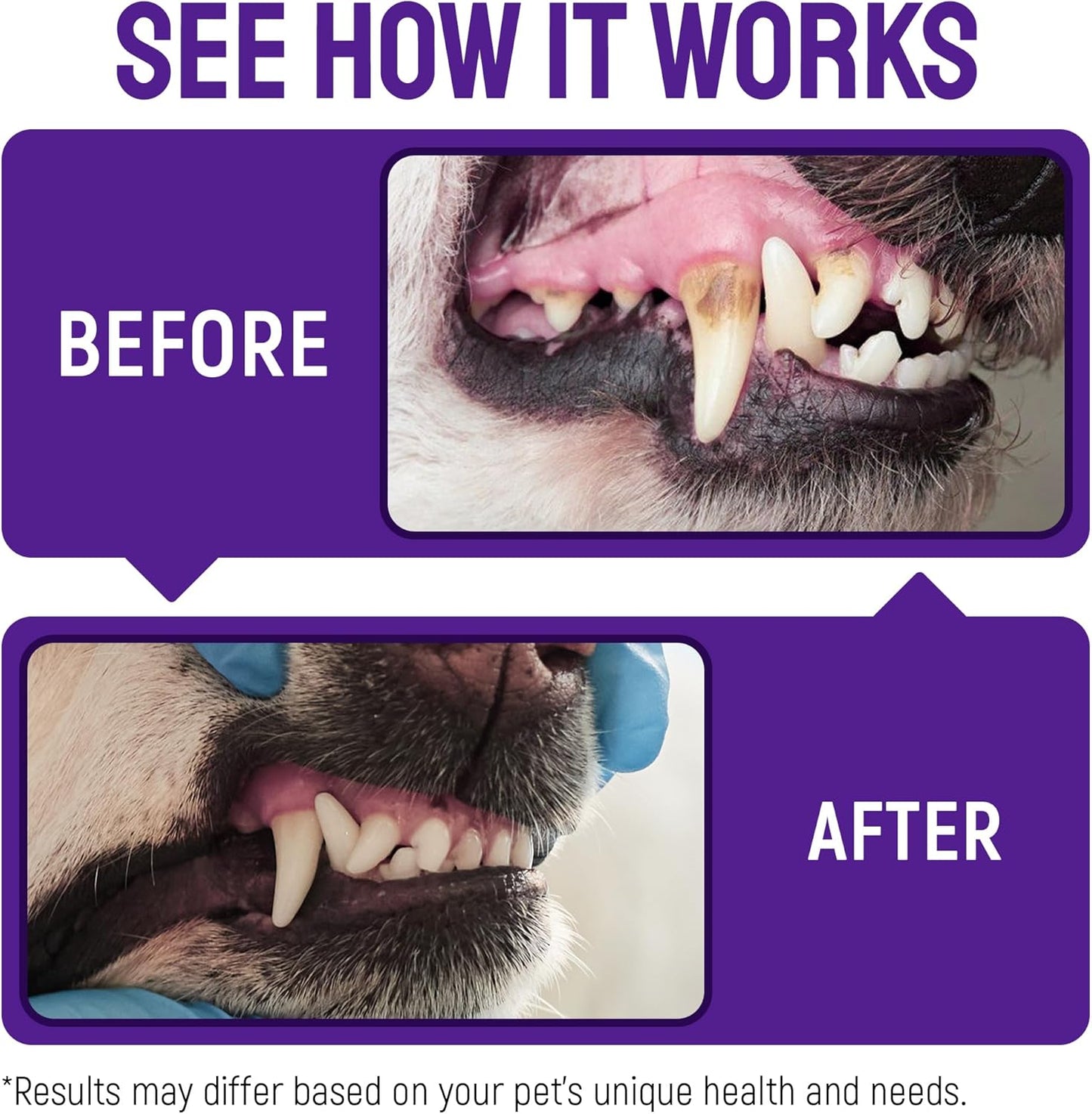 SILVER GRADE Teeth & Gum Spray for Pets