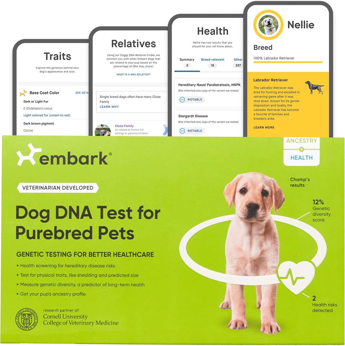 Embark Purebred Kit - Dog DNA Test - Health, Traits, Genetic Diversity ...
