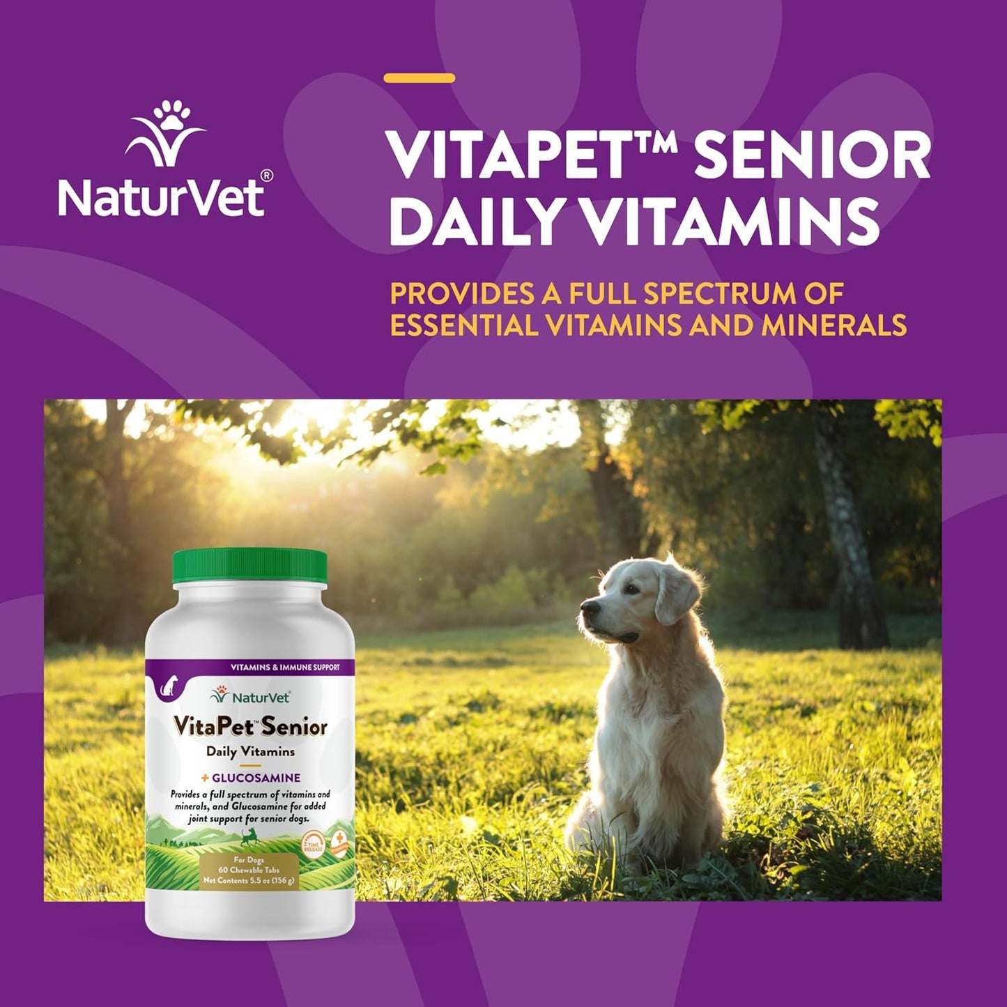 NaturVet Vita Time Release Pet Senior with Gluc Tablets, 60 Pills