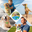 Natural Flea and Tick Prevention Dog Tag – Waterproof Collar Pendant with 3 Extra Refills, Green, Safe for All Breeds