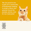 Applaws 100% Natural Wet Cat Food Mixed Variety Chicken Selection in Broth Tin 70g (Pack of 32), Limited Ingredients Pet Food