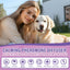Dog Pheromones Calming Diffuser 3 In 1 Advanced Kit Appeasing Pheromone (Tasteless)