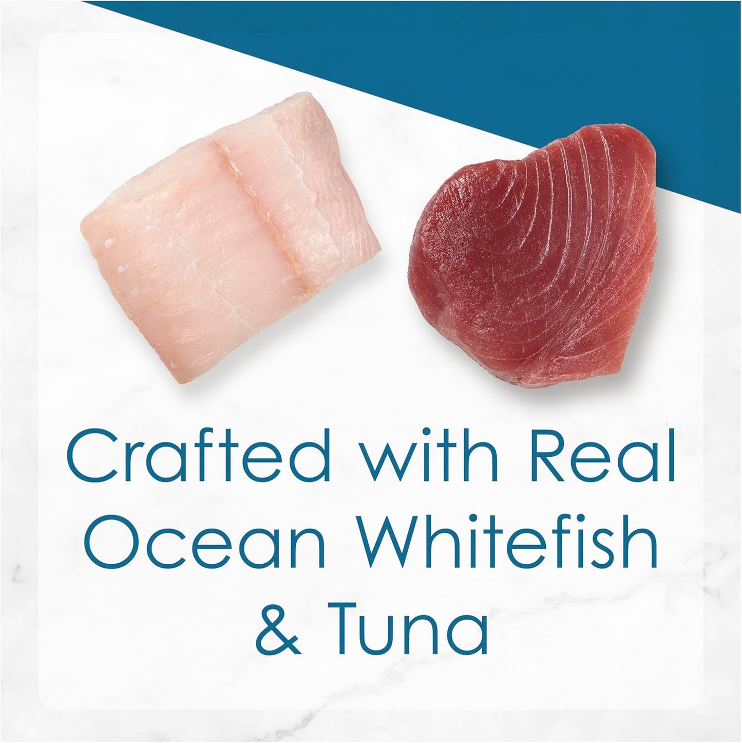 FANCY FEAST Adult Grilled Ocean Whitefish and Tuna in Gravy Wet Cat Food 24x85g