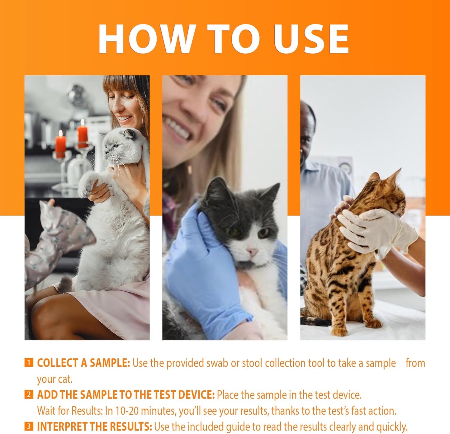 Feline/Cat HealthCheck 4-in-1 Test Kit ，Reliable Detection of Common Cats Illnesses ，Quick and Easy at-Home Testing