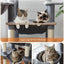 PAWZ Road Multi-Level Cat Tree 175cm With Super Large Hammock (50 * 40cm), Tall Cat Tower for Large Cats With Scratching Posts, Cat Condo and Top Perch Dark Grey