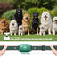 Dog Shock Collar Featuring A Touch Screen, E-Collar with Security Lock and 3 Training Modes, Rechargeable, Waterproof Dog Training Collar for Large Medium Small Dogs, for All Breeds, Size
