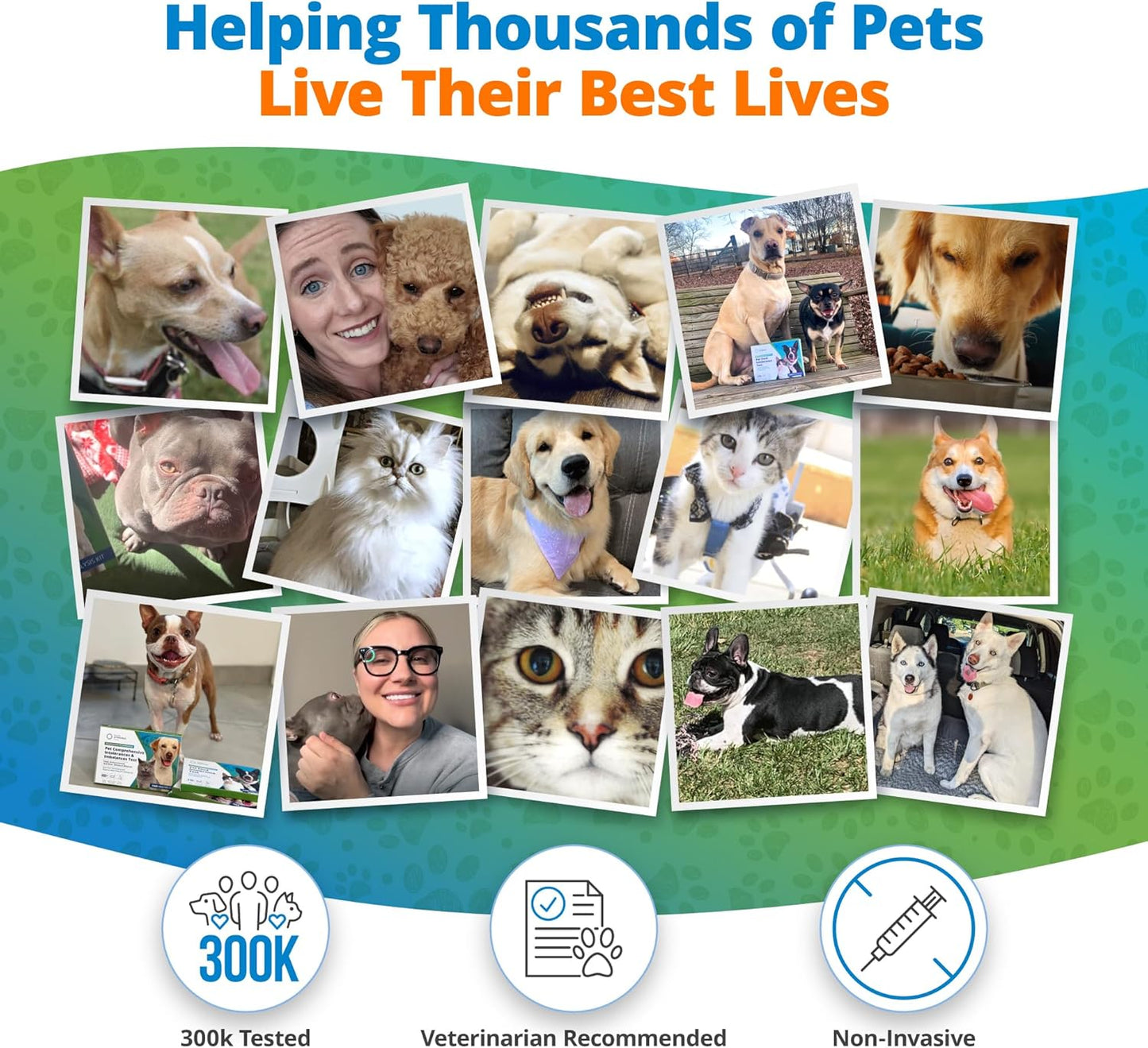 5Strands | Household Pet Nutritional Deficiency Test Kit | Hair Analysis