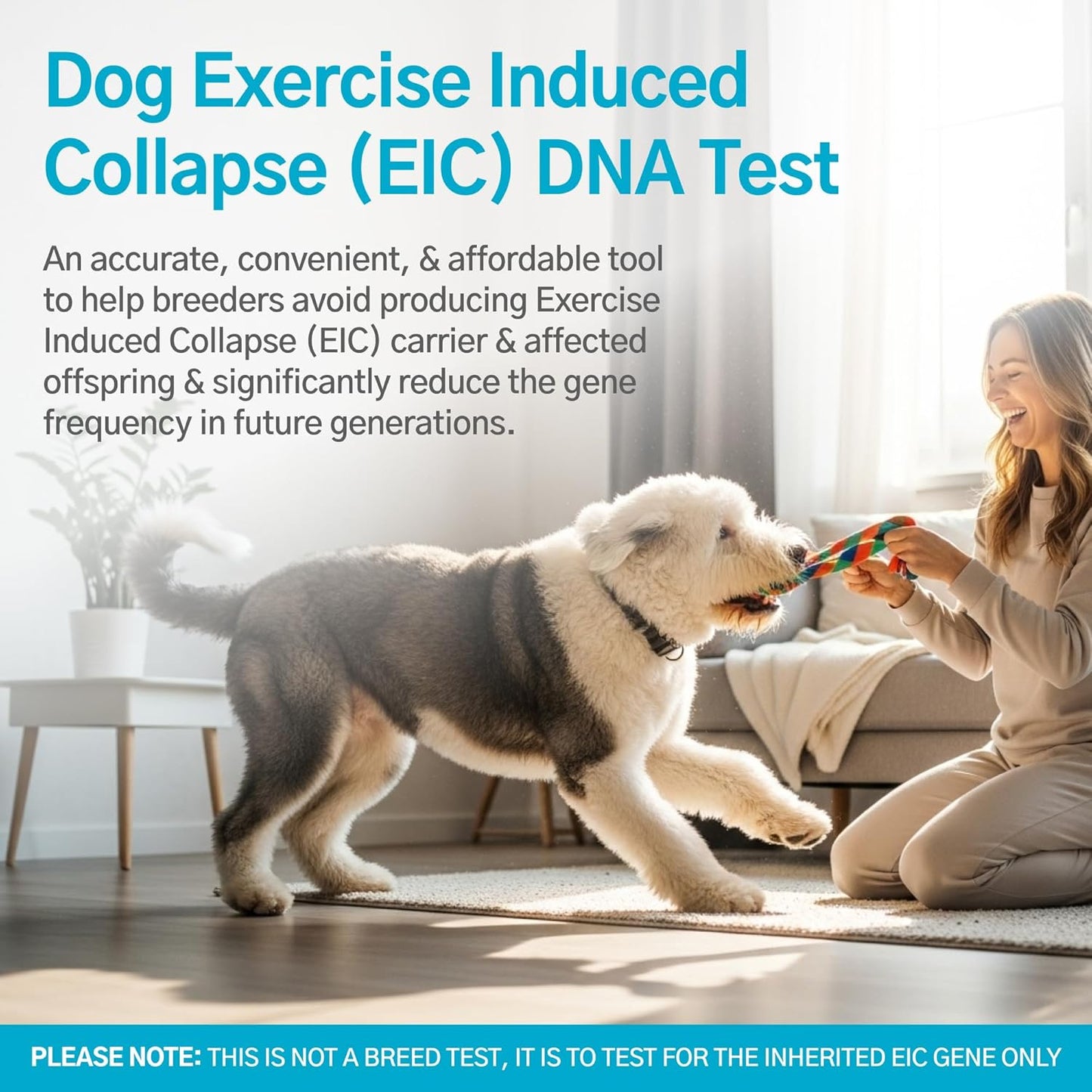 AffinityDNA Dog Exercise Induced Collapse (EIC) DNA Test
