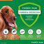 Credelio Plus Dog Flea and Tick Treatment, 3 Pack