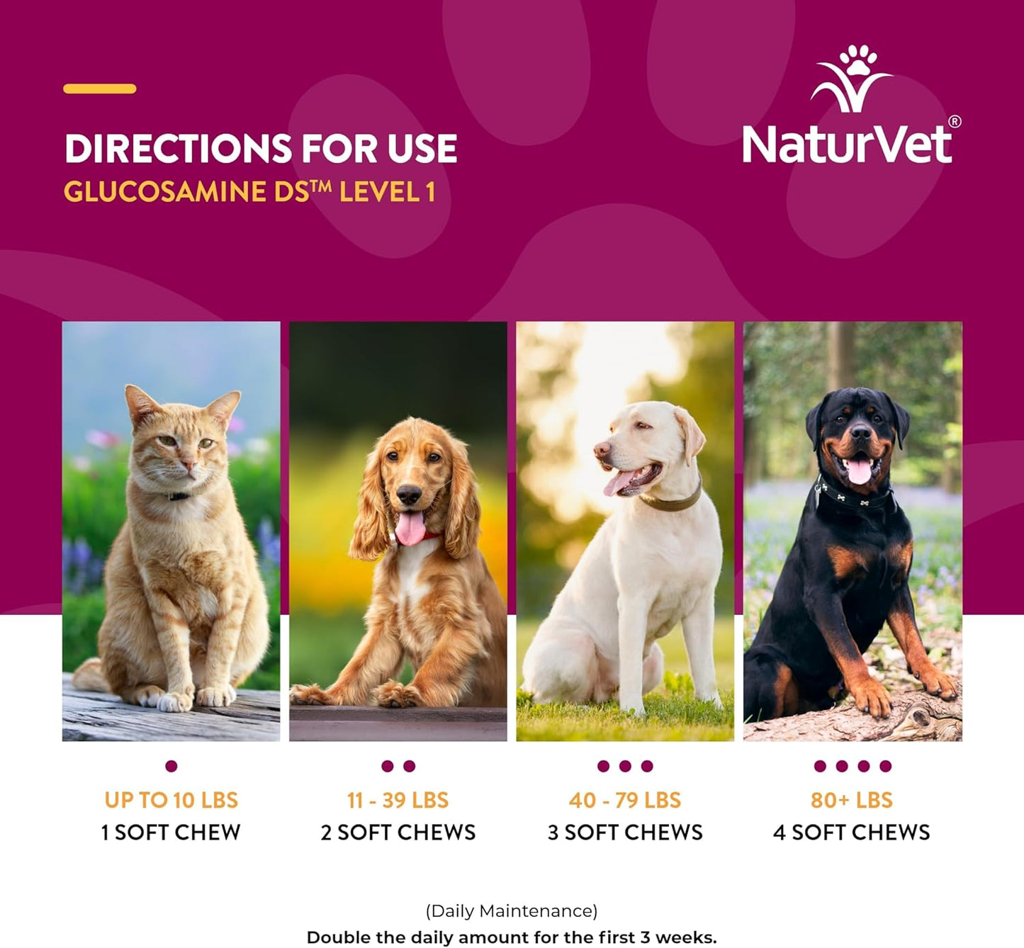 NaturVet Glucosamine DS Level 1 Maintenance Joint Care for Dogs and Cats, 120 ct Soft Chews, Made in USA
