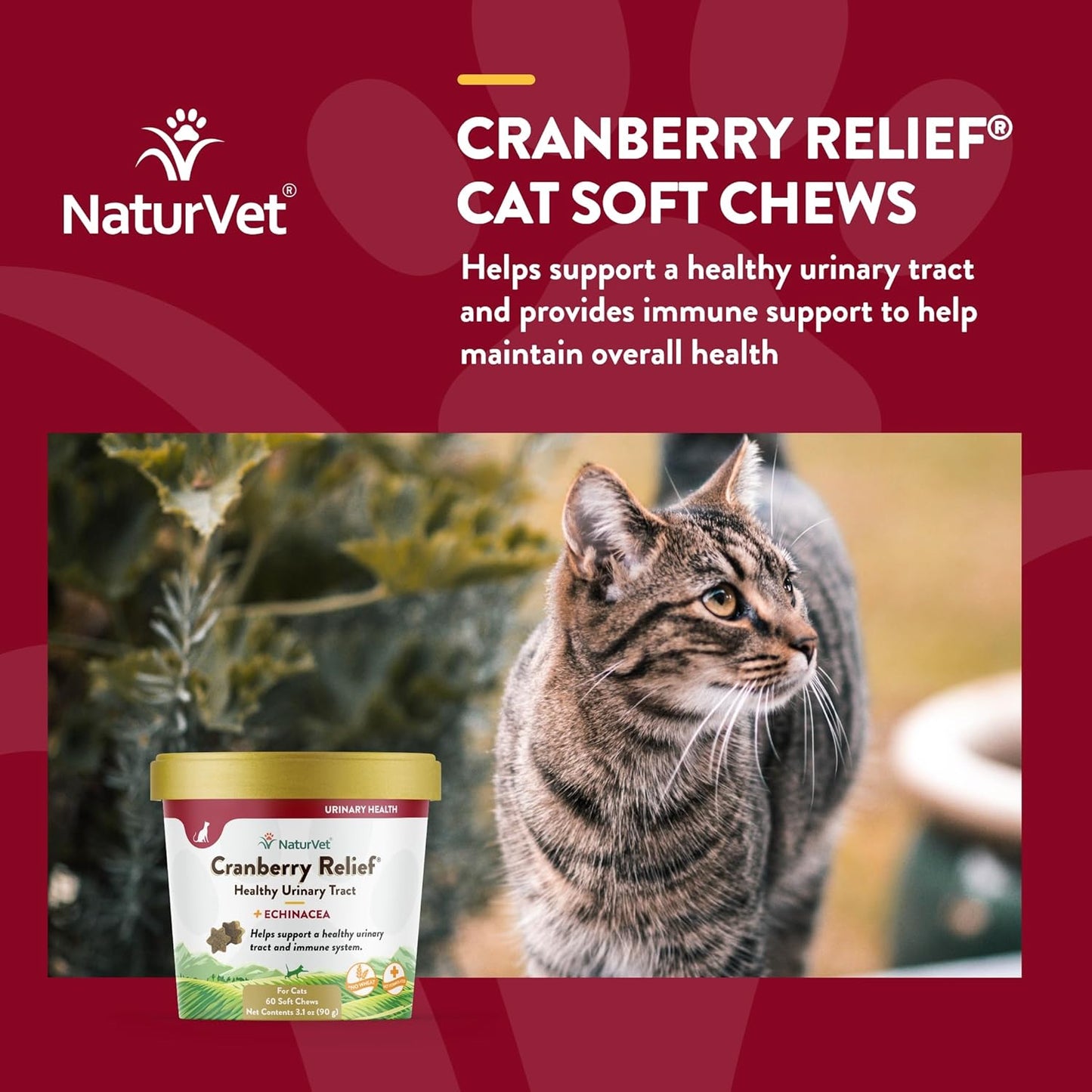 NaturVet Cranberry Relief & Echinacea Cat Soft Chew Cup Healthy Urinary 60ct